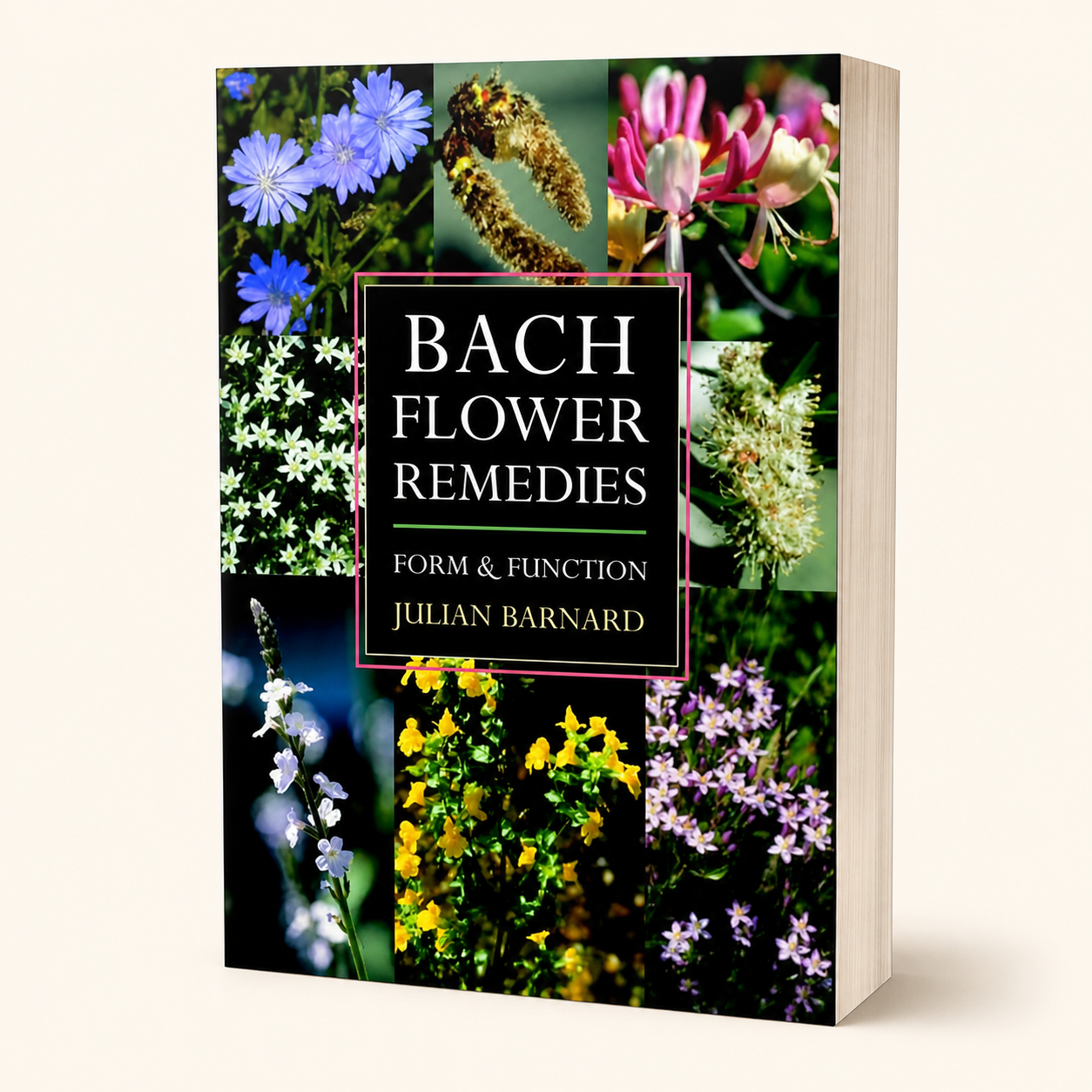 Bach Flower Remedies: Form & Function — 352-page large-format paperback, three-quarter product view