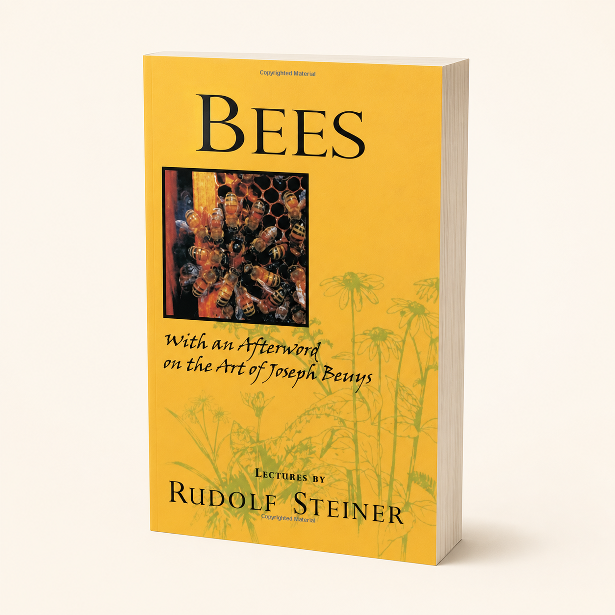 Bees — 240-page, 15 mm paperback, three-quarter product view