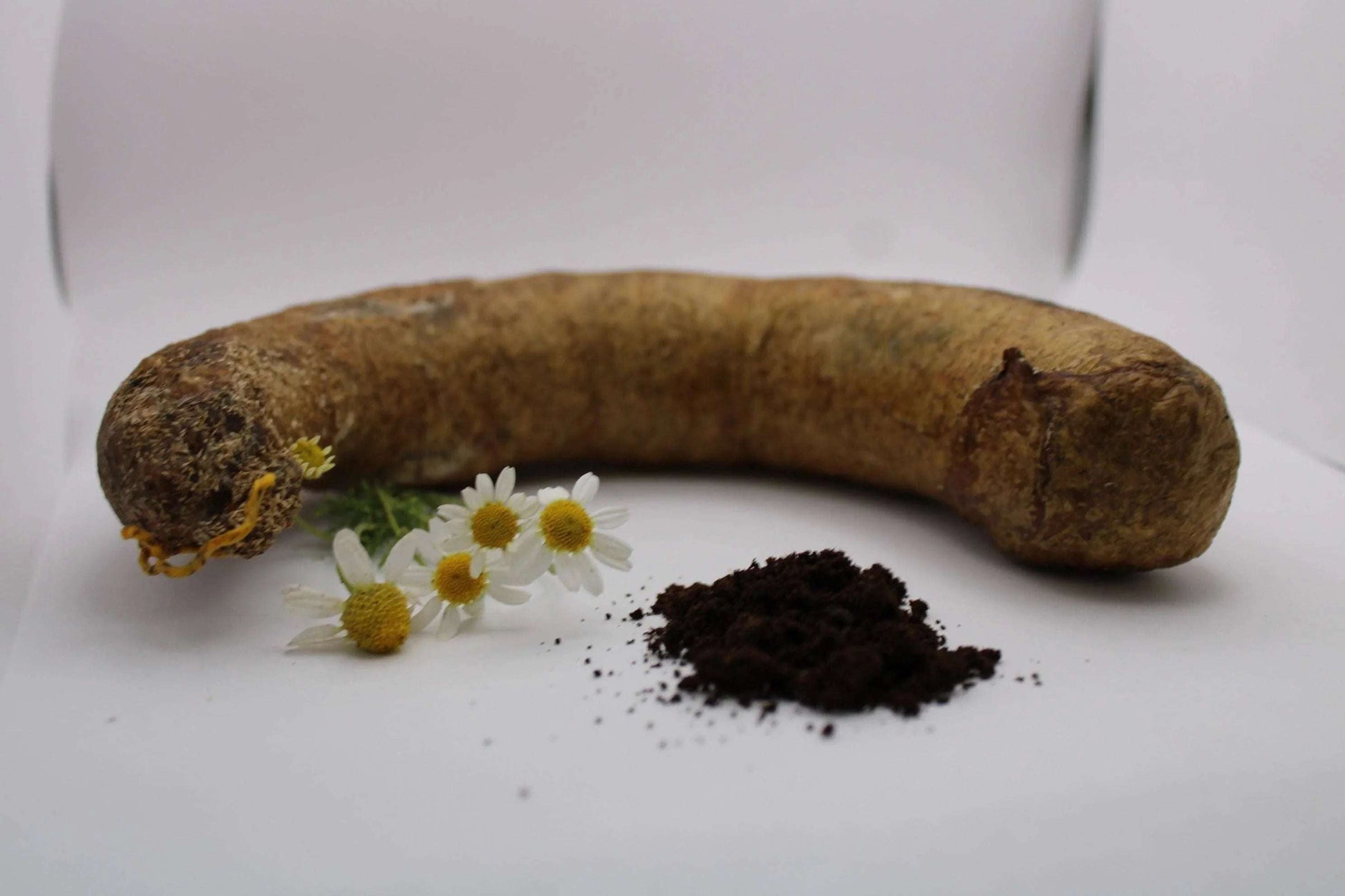 Biodynamic Chamomile Preparation - Matricaria chamomilla - (BD 503) BD Compost Preparation - The Josephine Porter Institute