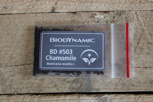 Biodynamic Chamomile Preparation - Matricaria chamomilla - (BD 503) BD Compost Preparation - The Josephine Porter Institute