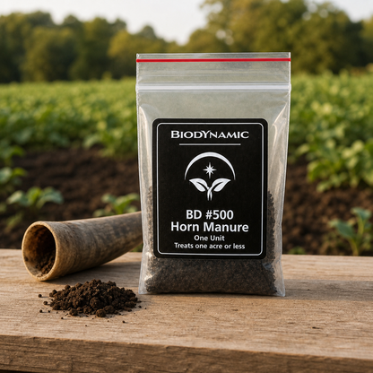 Biodynamic BD 500 Horn Manure in a farm setting