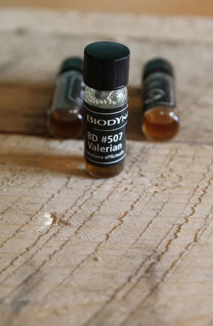 Supercharged Biodynamic Horn Manure Preparation (BD 500) BD Spray Preparation plus Valerian (507) - The Josephine Porter Institute