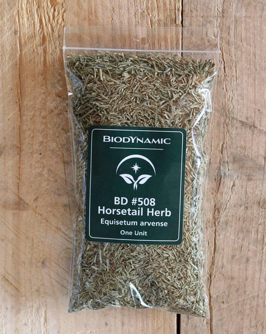 Biodynamic Horsetail Plant Preparation - Equisetum arvense (BD 508) BD Antifungal Spray Preparation - The Josephine Porter Institute