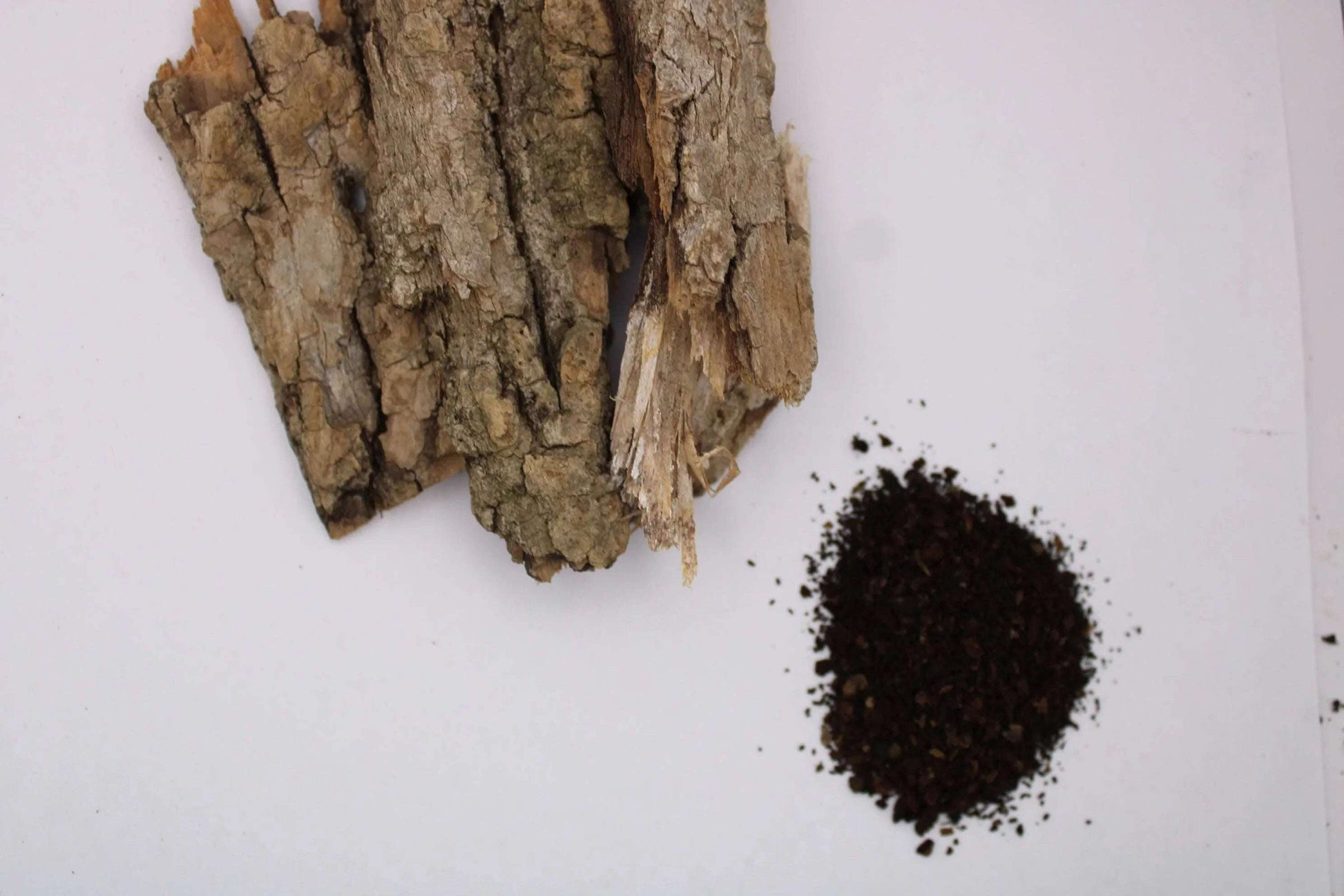Biodynamic Oak Bark Preparation -Quercus alba - (BD 505) Compost Preparation - The Josephine Porter Institute