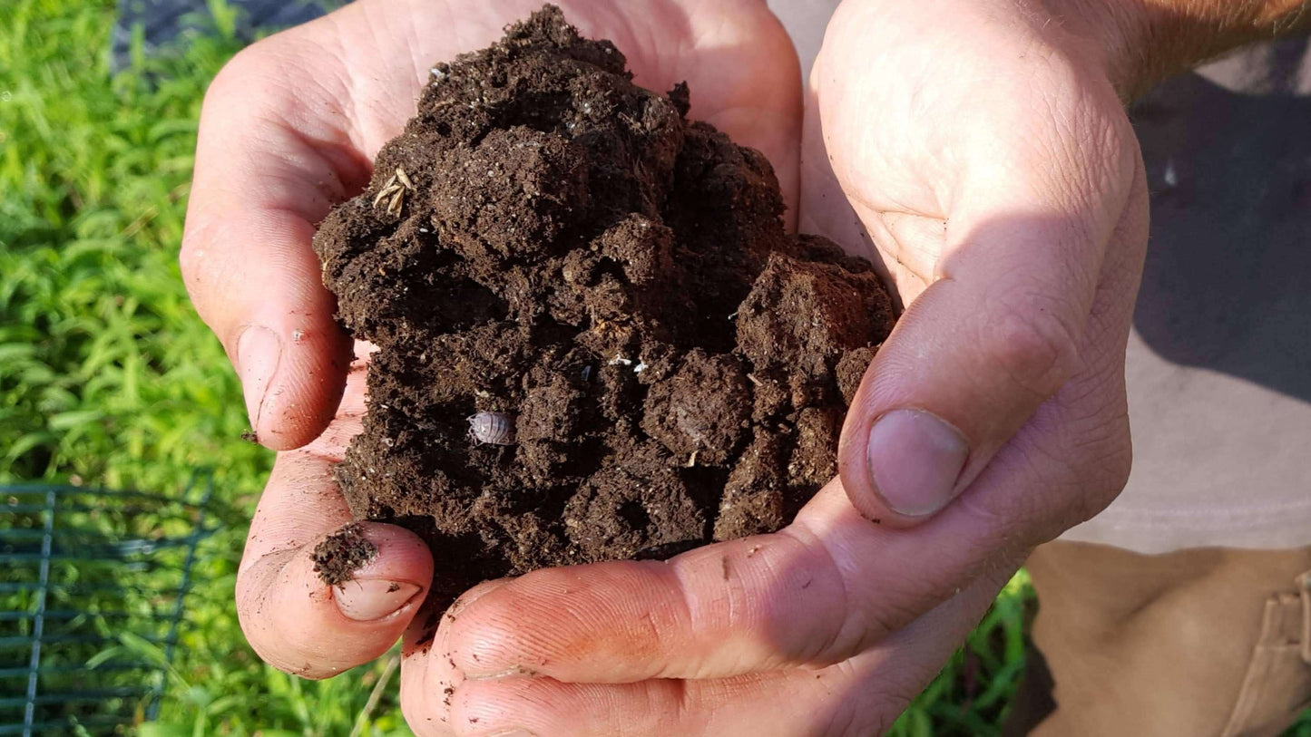 Biodynamic Barrel Compound Preparation (BC) Spray Preparation - The Josephine Porter Institute