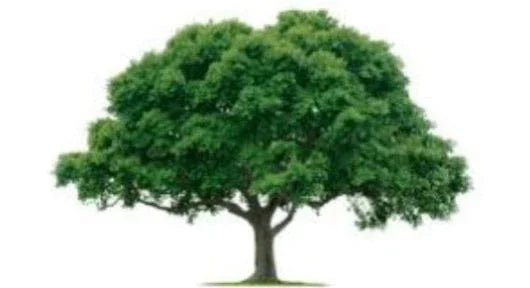 Biodynamic Tree Harmonizer - The Josephine Porter Institute