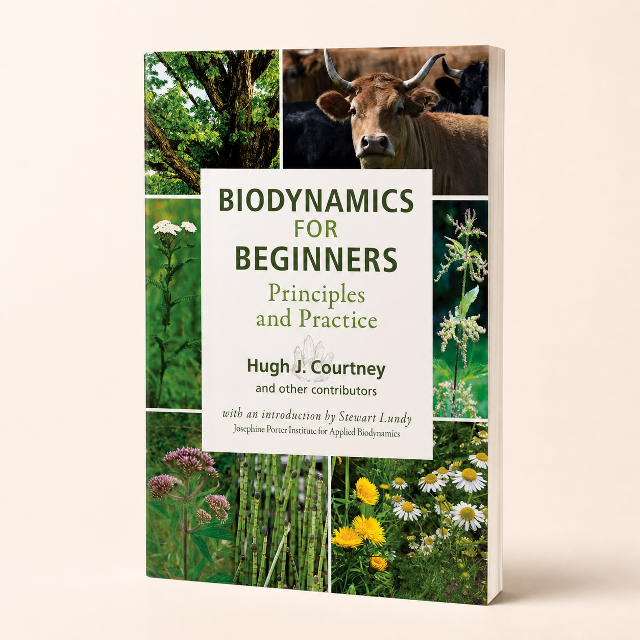 Biodynamics for Beginners paperback by Hugh J. Courtney on a clean studio background
