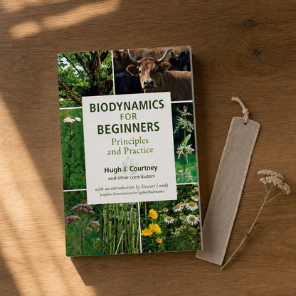Biodynamics for Beginners paperback on a warm reading table