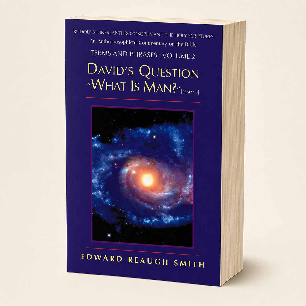 David's Question — 560-page thick paperback, three-quarter product view