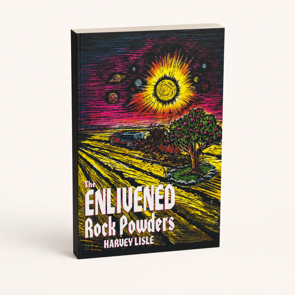 The Enlivened Rock Powders 208-page paperback, three-quarter front view