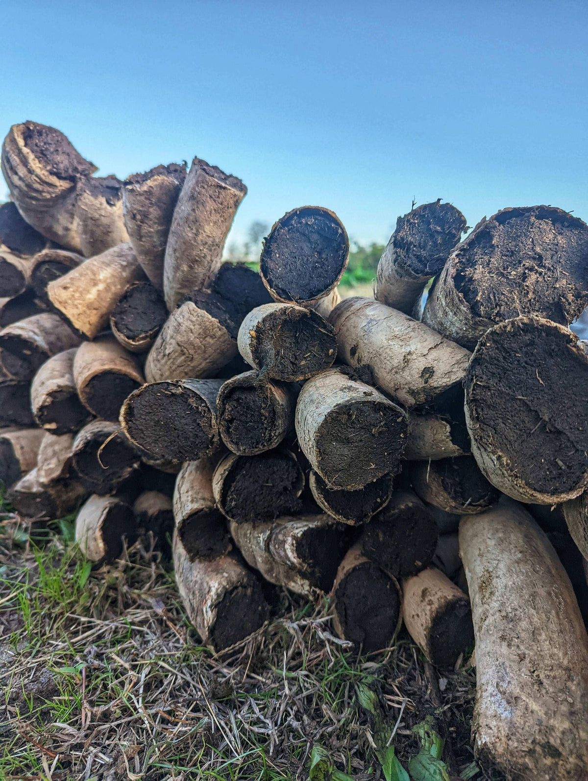 Fall Biodynamic Workshop - October 17-19th 2025 (meals included) - The Josephine Porter Institute