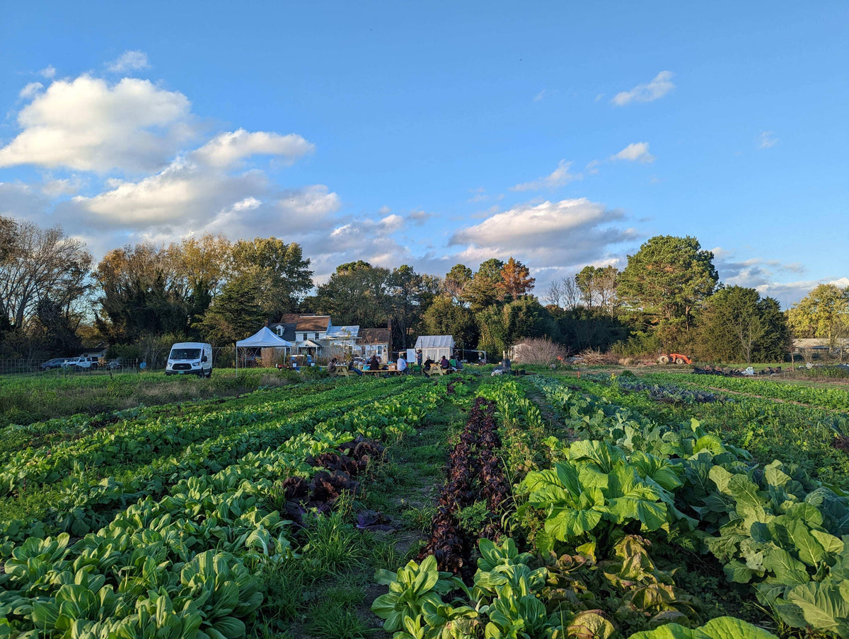Fall Biodynamic Workshop - October 17-19th 2025 (meals included) - The Josephine Porter Institute