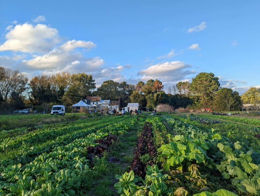 Fall Biodynamic Workshop - October 17-19th 2025 (meals included) - The Josephine Porter Institute
