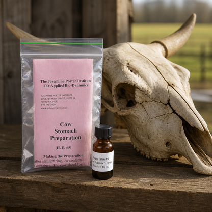 Hugo Erbe number 5 Cow Stomach Preparation with a respectful weathered cow skull