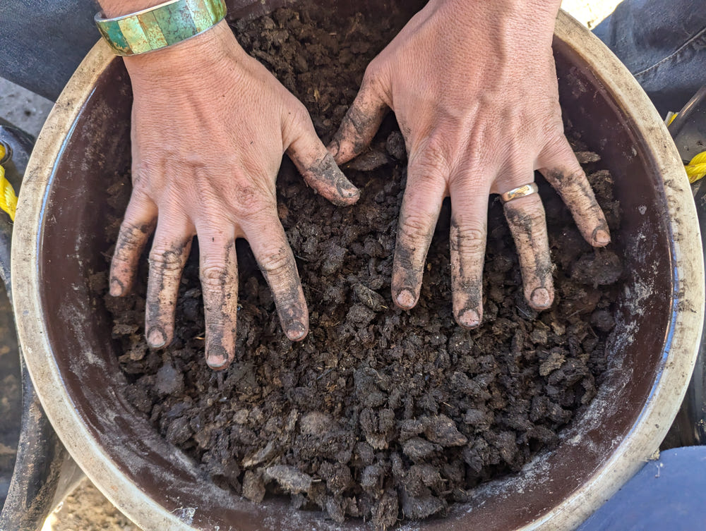 Hands working rich soil in a basin