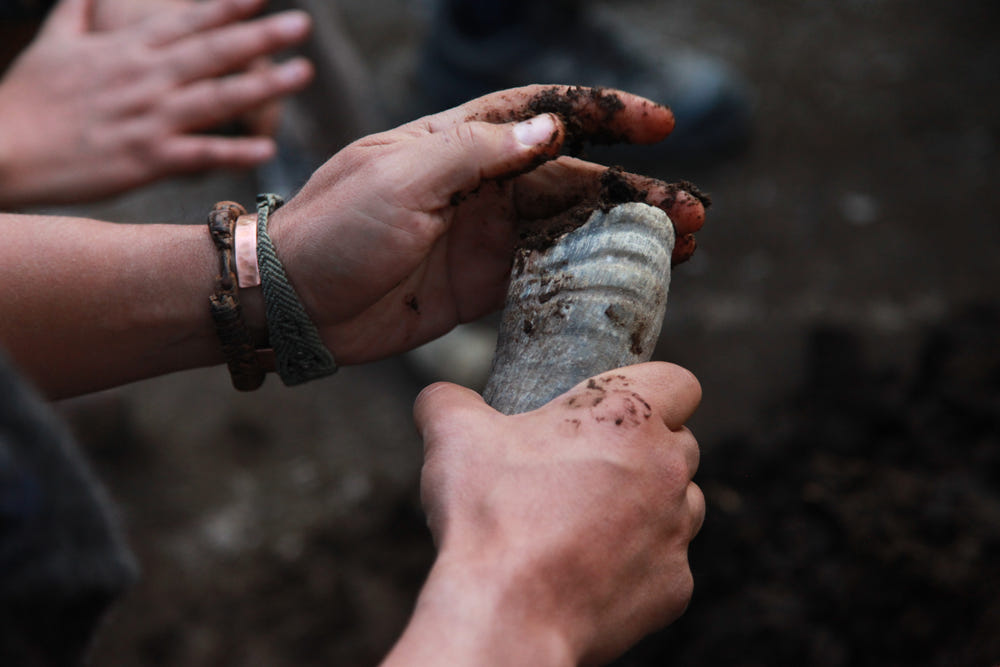 Hands filling a horn with biodynamic preparation