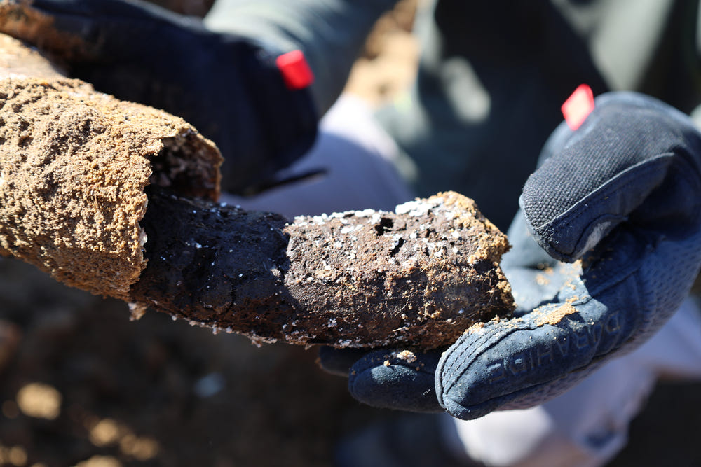 Gloved hands holding a soil core
