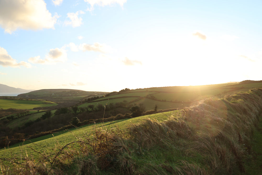 Sunlit green fields beneath a wide sky