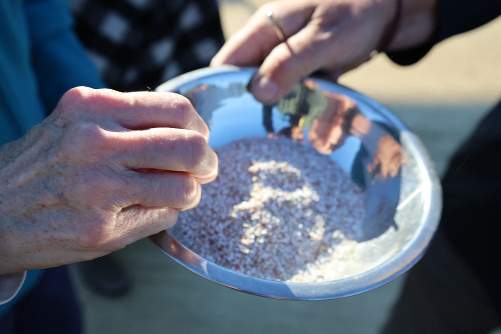Hands stirring a granular biodynamic preparation in a metal bowl
