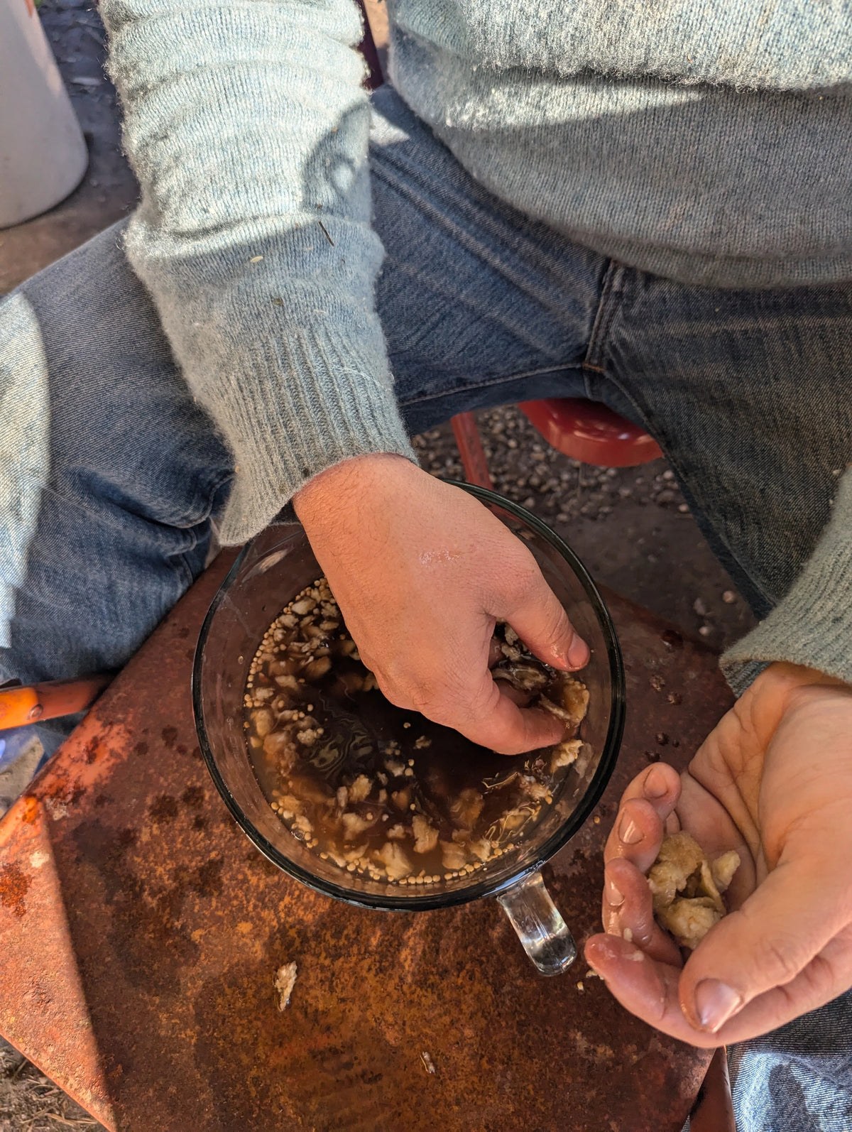 Hands working a soaked plant preparation in a glass bowl