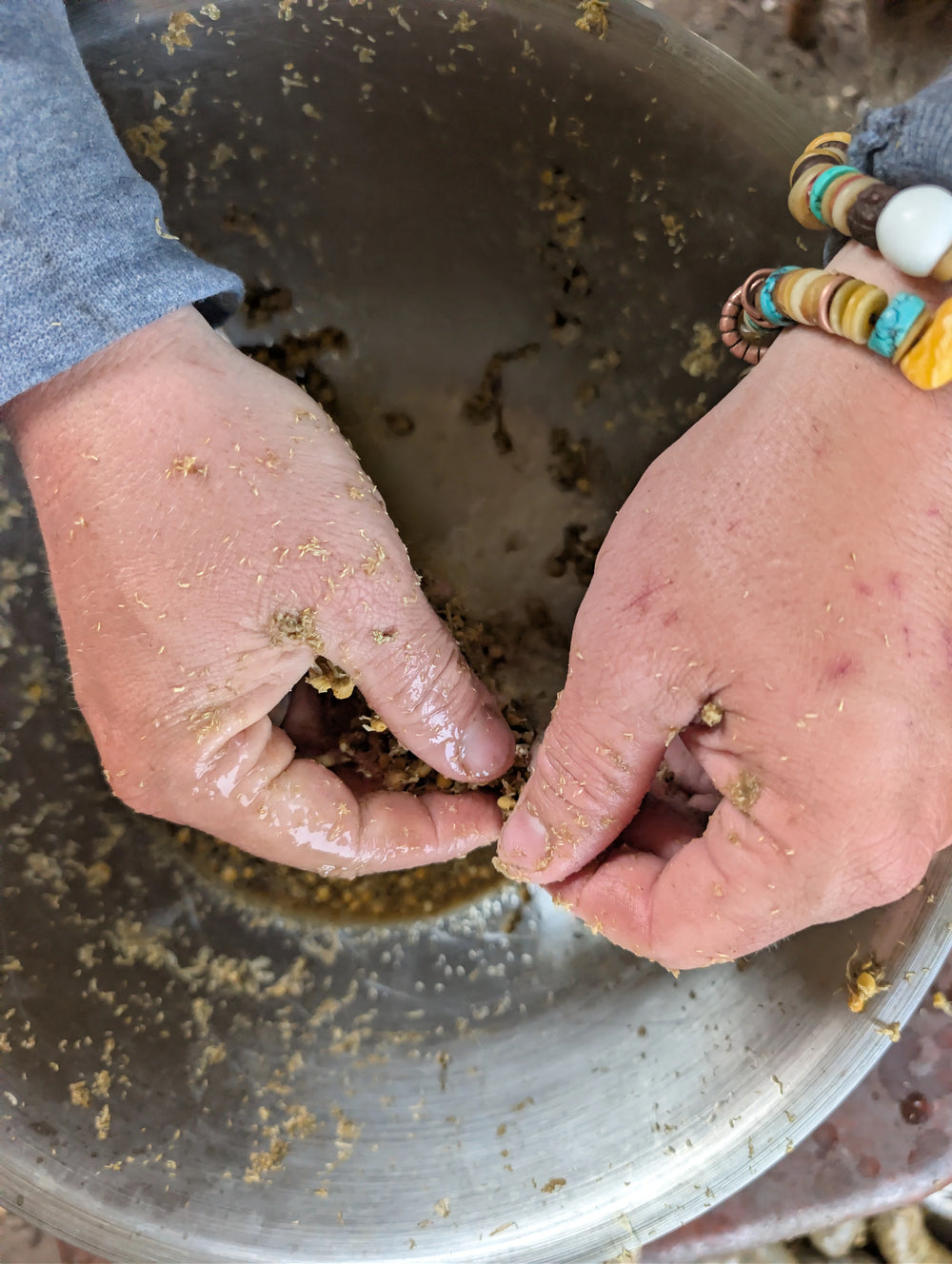 Hands breaking up wet plant material in a metal preparation bowl