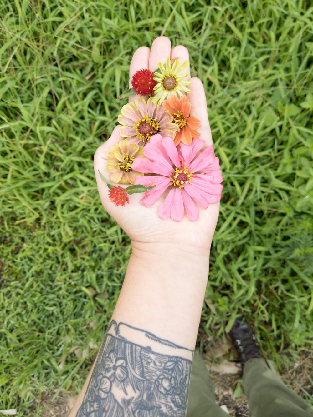 Fresh pink and orange flowers resting on an open palm with fingertips pointing upward
