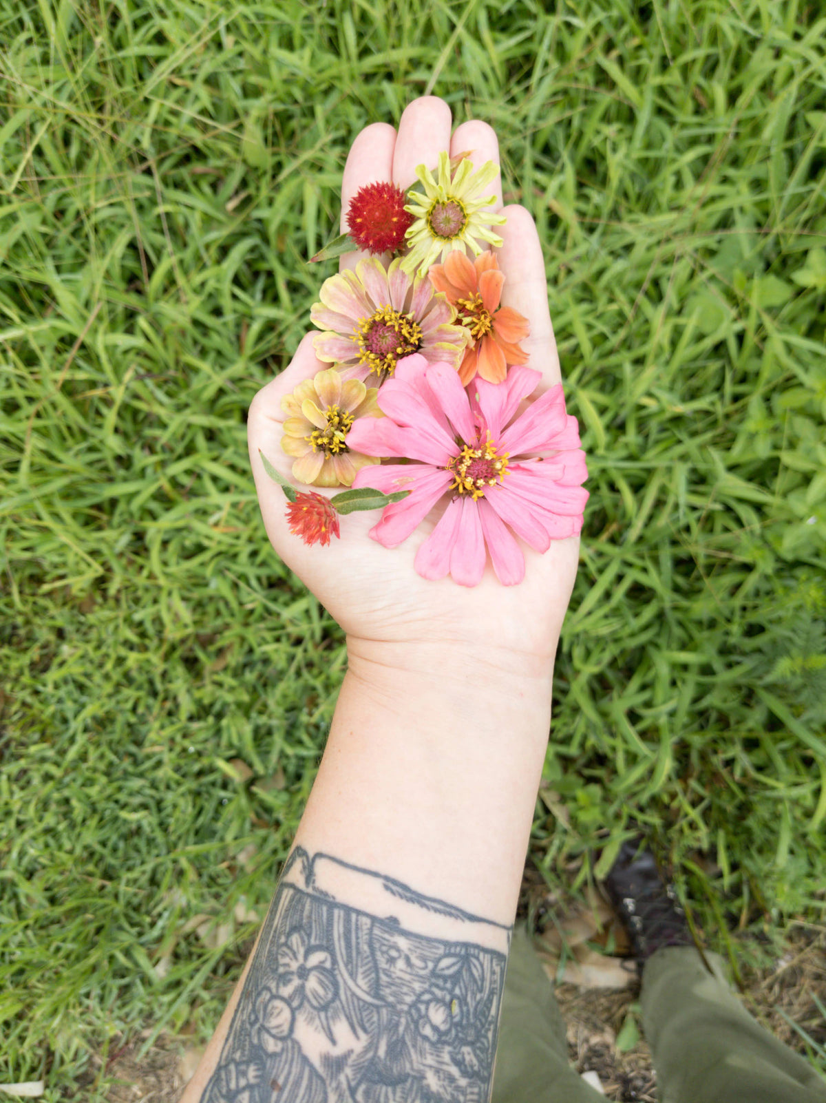 Fresh pink and orange flowers resting on an open palm with fingertips pointing upward