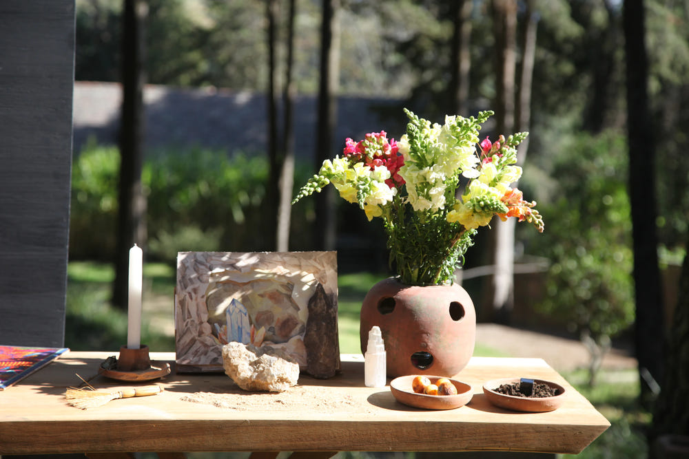 Flowers and biodynamic preparation materials arranged on a sunlit table