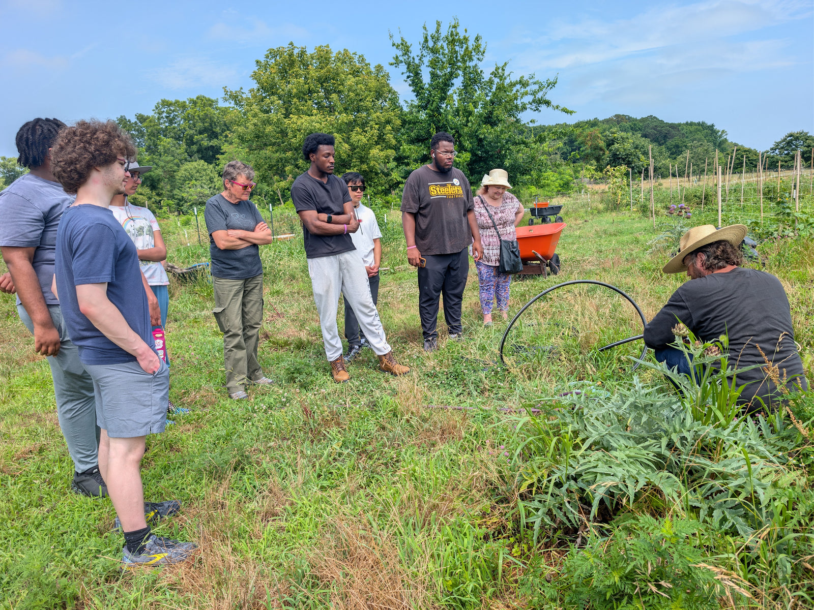 A biodynamic lesson in the field