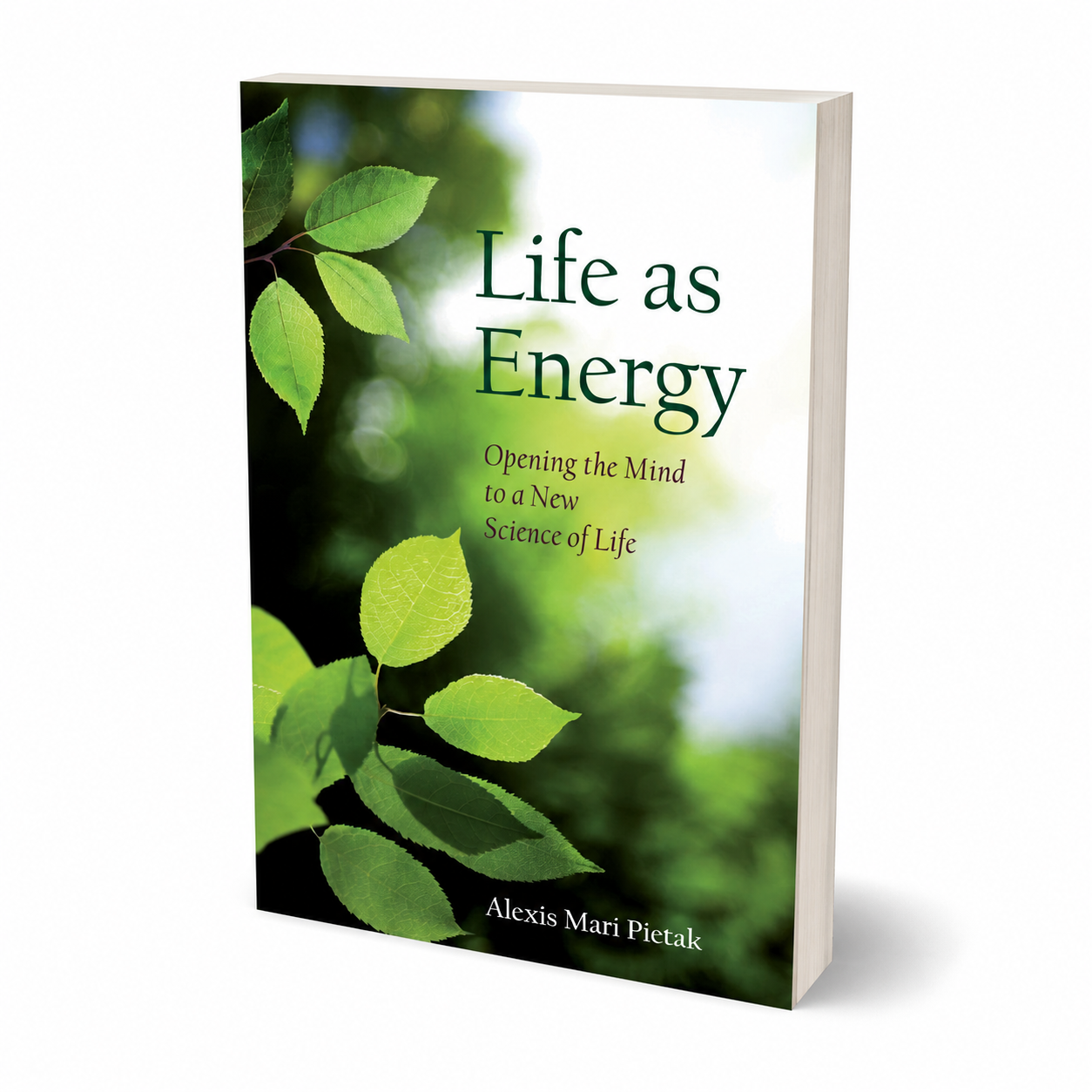 Life as Energy — accurate 280-page paperback three-quarter view