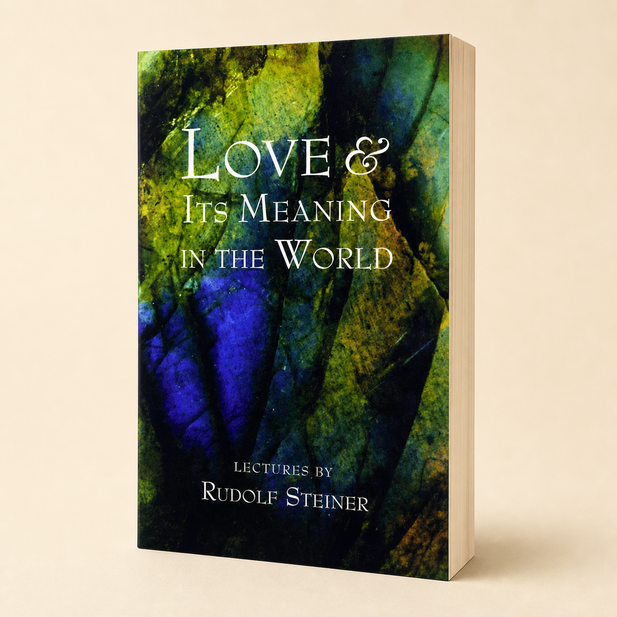 Love and Its Meaning in the World paperback, three-quarter front view