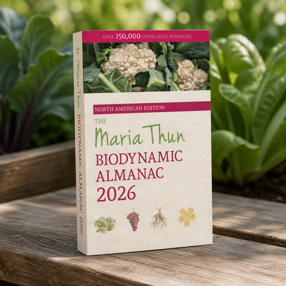 2026 Maria Thun Biodynamic Almanac displayed in a garden setting