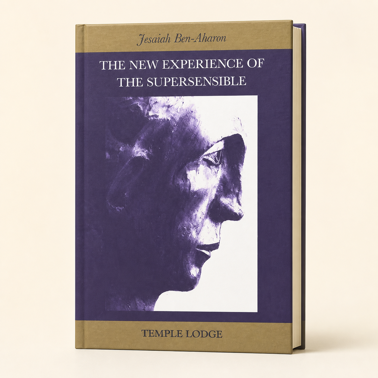 The New Experience of the Supersensible — edition-matched 244-page hardcover three-quarter view; depth conservatively estimated