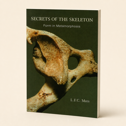 Secrets of the Skeleton — 108-page broad, thin paperback, three-quarter product view