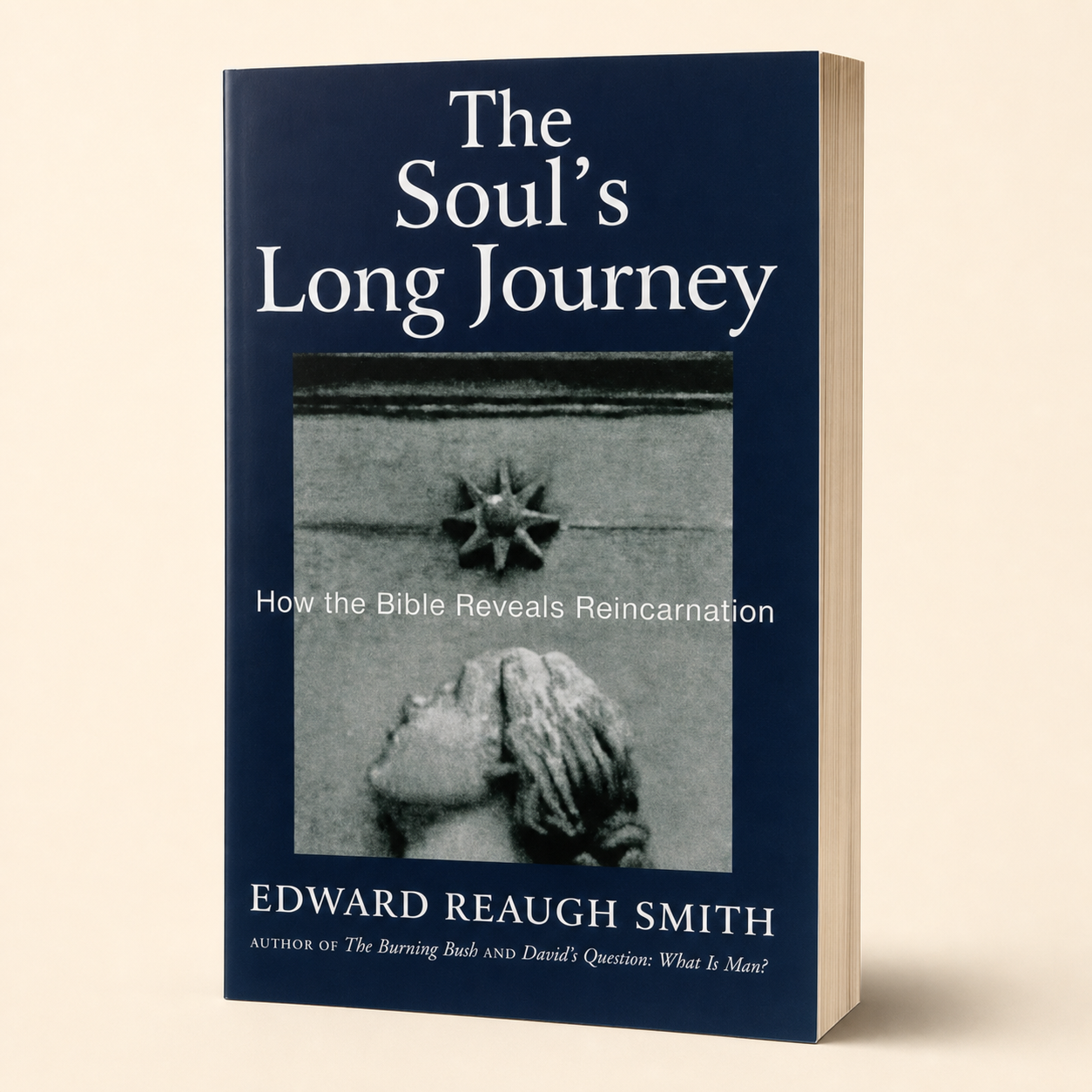 The Soul’s Long Journey — accurate 349-page substantial paperback three-quarter view