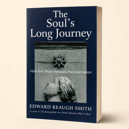 The Soul’s Long Journey — accurate 349-page substantial paperback three-quarter view