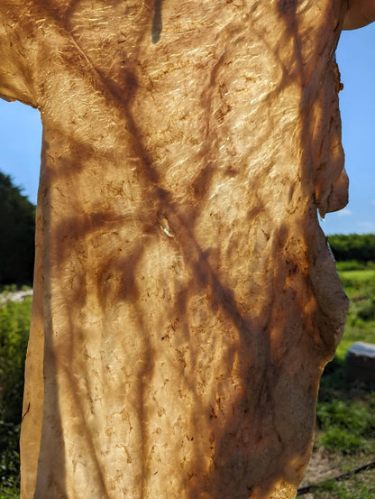 Spring Biodynamic Workshop - May 12-14th 2023 (meals included) - The Josephine Porter Institute