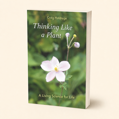 Thinking Like a Plant — accurate 224-page slim paperback three-quarter view