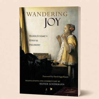 Wandering Joy — accurate 304-page paperback three-quarter view