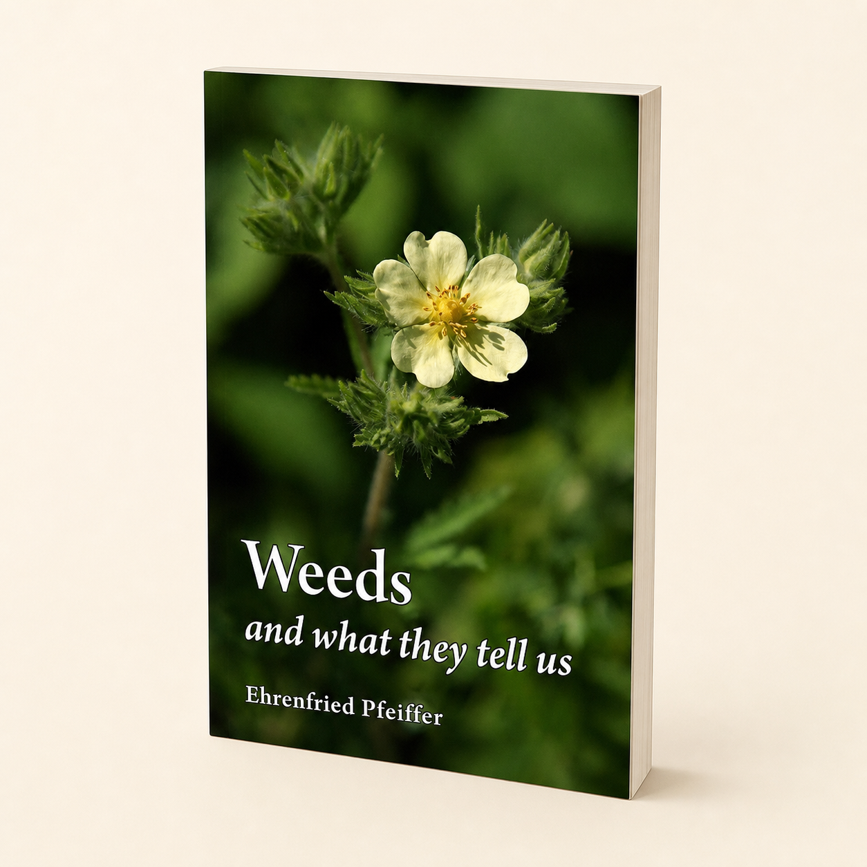 Weeds and What They Tell Us — 96-page, 7 mm slim paperback, three-quarter product view