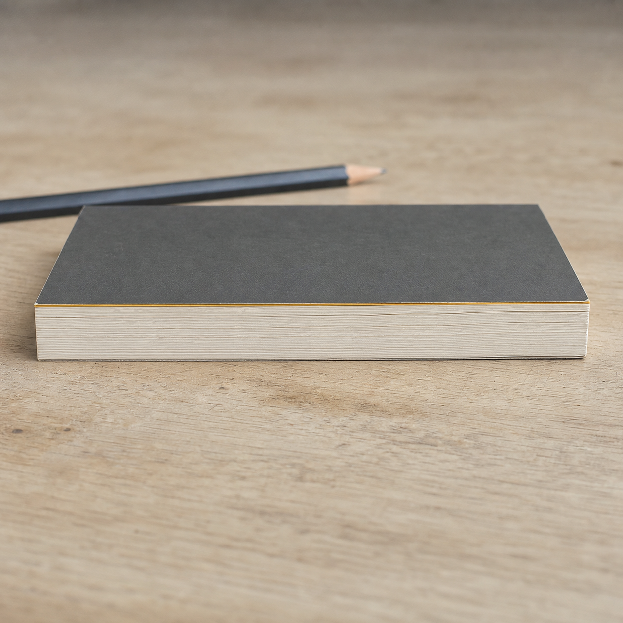 What Is Biodynamics? by Rudolf Steiner — 200-page paperback head-edge profile with pencil for scale