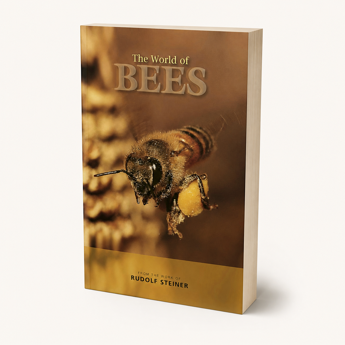 The World of Bees 200-page paperback, three-quarter front view